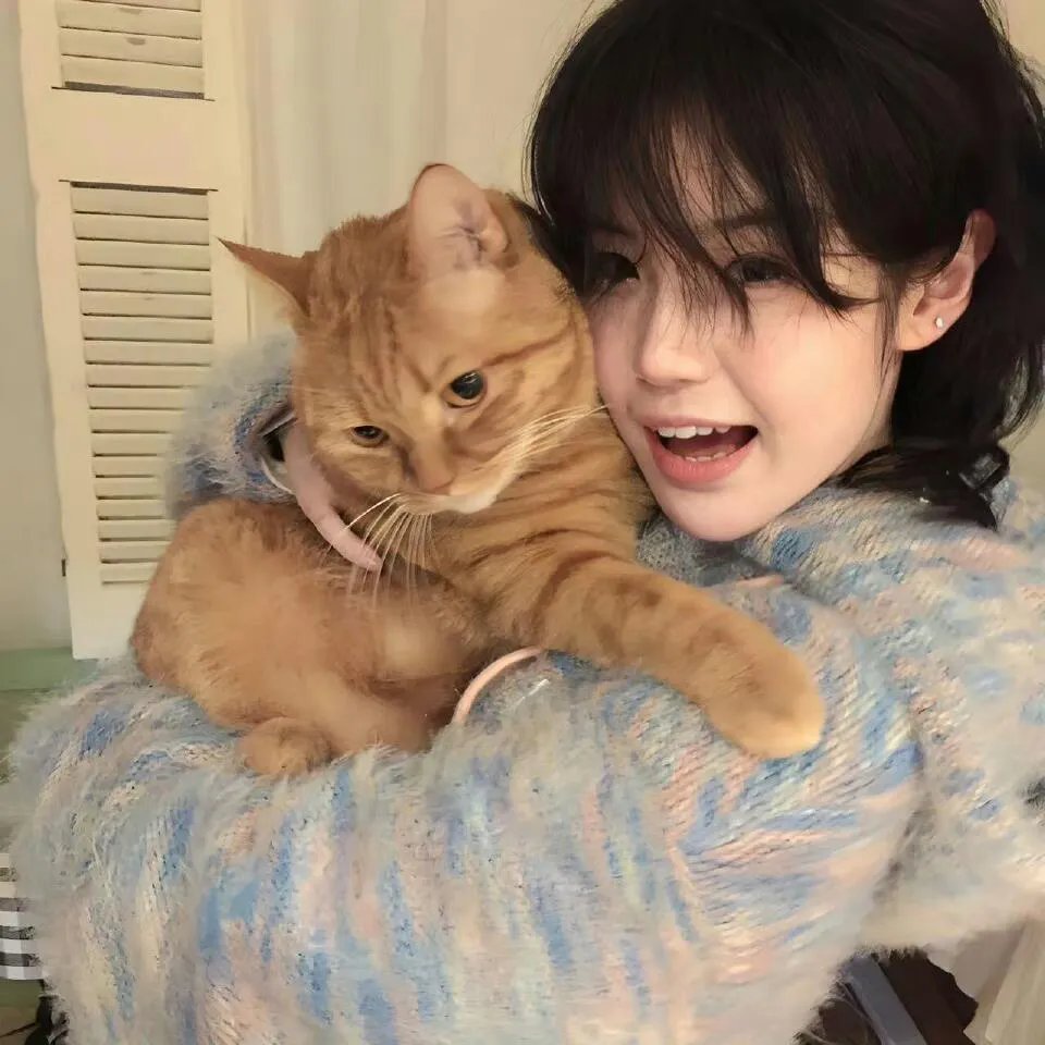 红袖添香