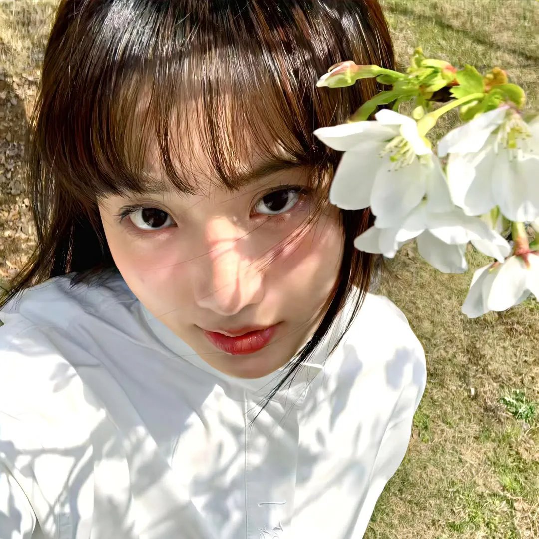 红河劫